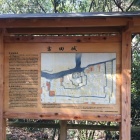 縄張り