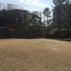 本丸の石垣