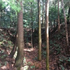 曲輪間の堀と土橋