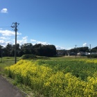 高田屋敷跡全景