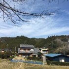 写真中央付近が本城