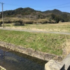 全景