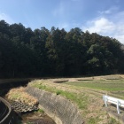 東側から野田城