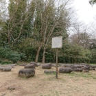 礎石