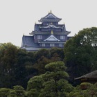 2020年12月29日