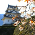 2回目、2020年3月21日