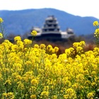 2回目、2020年3月21日の写真です。