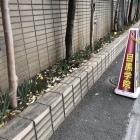 目黒氏館