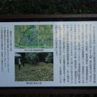 解説板