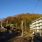 鷺山城遠景