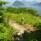 腰郭群
