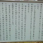 解説