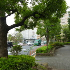 環七沿いなので路駐も出来ません
