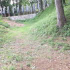 土橋