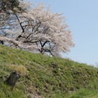本丸城塁