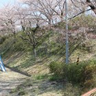 本丸南端土塁、城塁