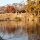 西側、山崎口門