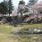 本丸東側の庭園と本丸土塁と石垣