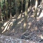 本丸西側下の畝状竪堀群