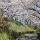 本丸南面城塁