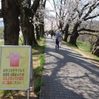 コロナウイルス対策