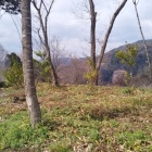 山頂の郭