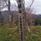 山頂
