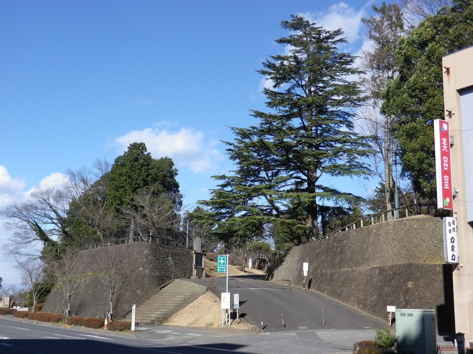 [小山城] 城びと