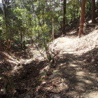 登山道