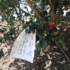通行止の貼り紙