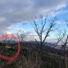 芥川山城 向かいの山から望む