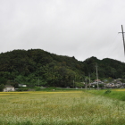 中川村 南田島より