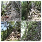 八幡山城