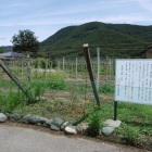 K_川田館