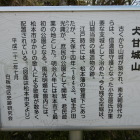 解説版