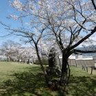 この辺は穴場なのか人もおらず静かでした