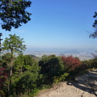 元々琵琶湖と隣接していたのが埋め立てで離れた模様