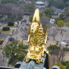 金シャチ