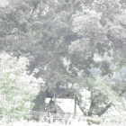 甲斐善光寺近く(小山田信茂)