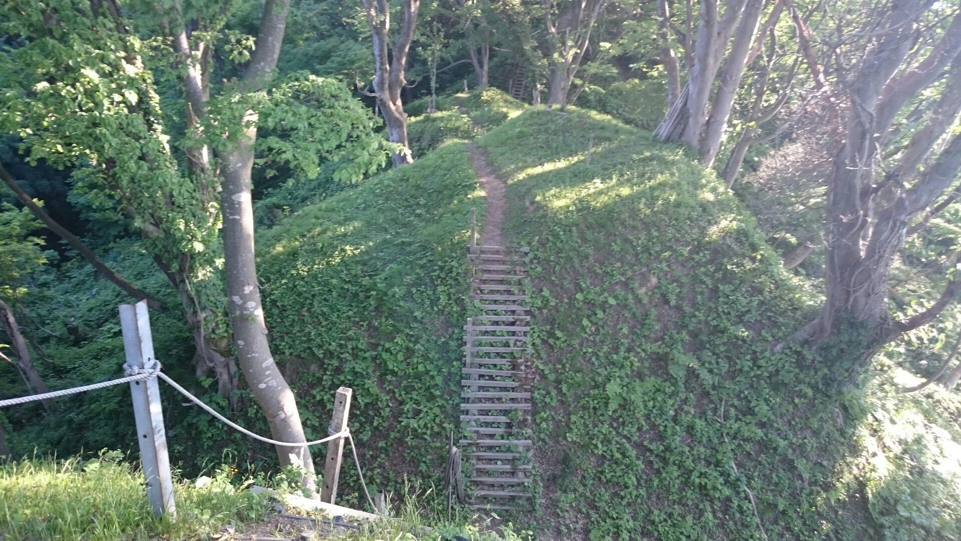 [鳥坂城] 城びと