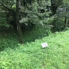 ⑤の答え【菅谷館】