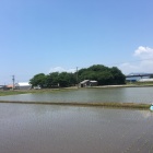 全景
