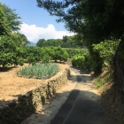 土塁跡