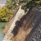 伊賀上野城 石垣