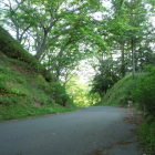 本丸と二の丸の間の堀切跡