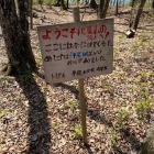 地元小学生による案内看板
