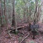 伝 茶屋の壇