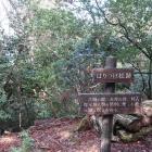 はりつけ松跡