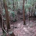 池東番所南下の大竪堀（堀切）