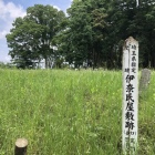 伊奈城